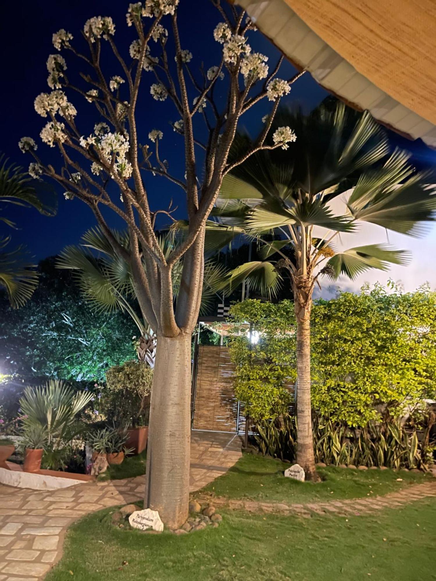 Le Jardin Exotique Hotel Antsiranana Ngoại thất bức ảnh