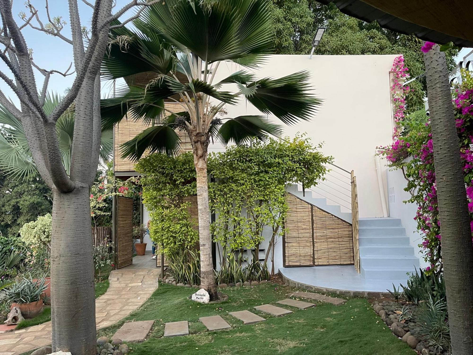 Le Jardin Exotique Hotel Antsiranana Ngoại thất bức ảnh