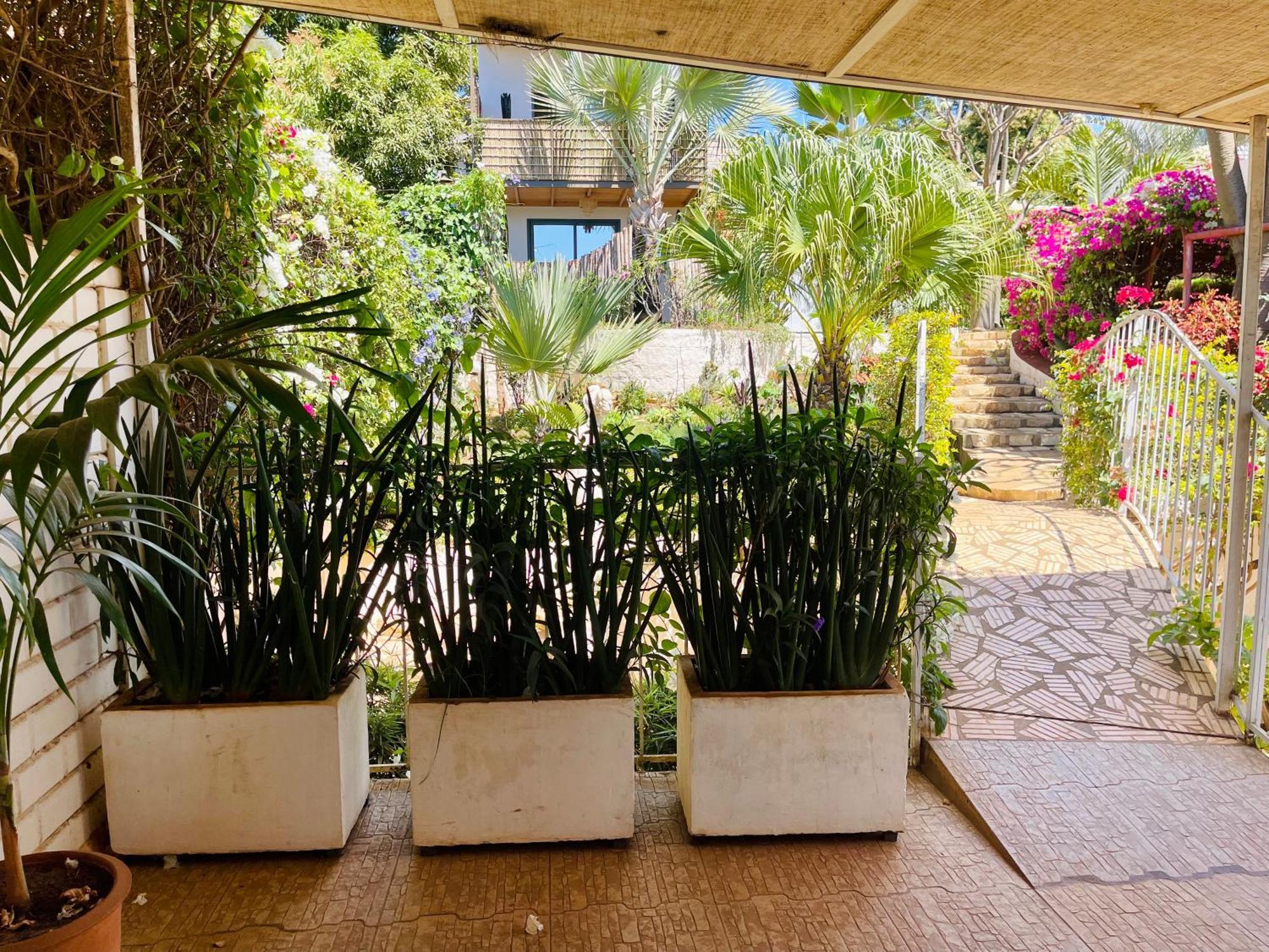 Le Jardin Exotique Hotel Antsiranana Ngoại thất bức ảnh
