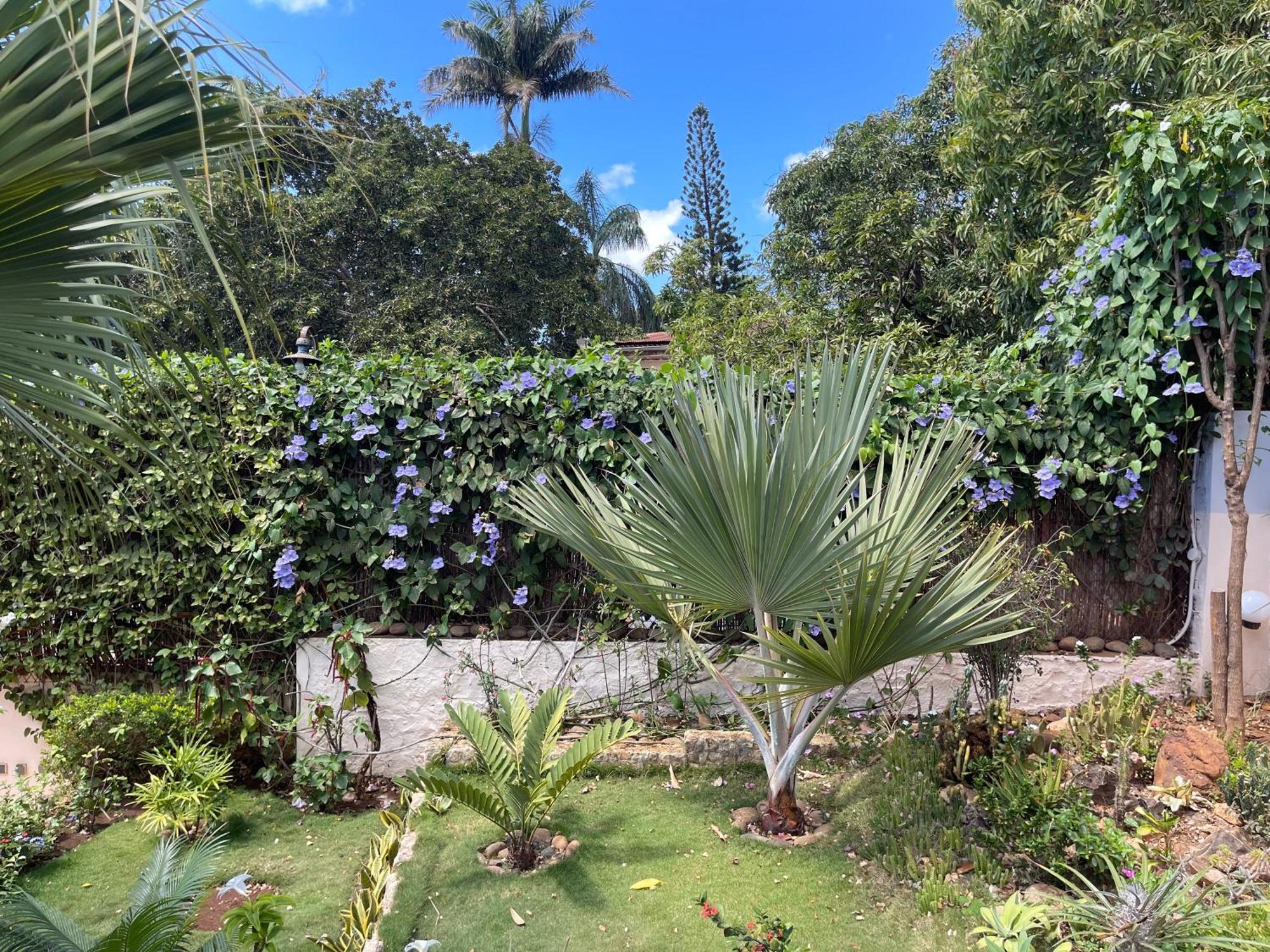 Le Jardin Exotique Hotel Antsiranana Ngoại thất bức ảnh