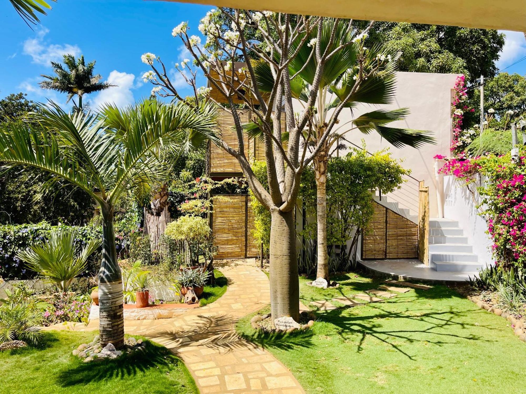 Le Jardin Exotique Hotel Antsiranana Ngoại thất bức ảnh