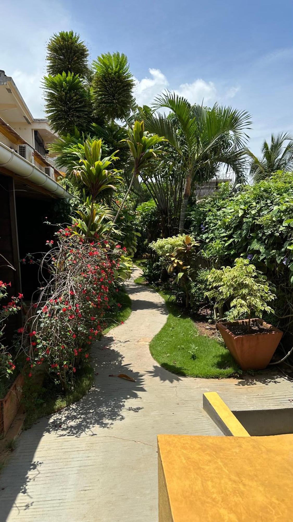 Le Jardin Exotique Hotel Antsiranana Ngoại thất bức ảnh